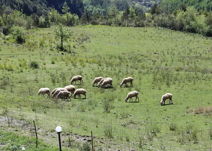Il Rifugio Del Cavaliere *